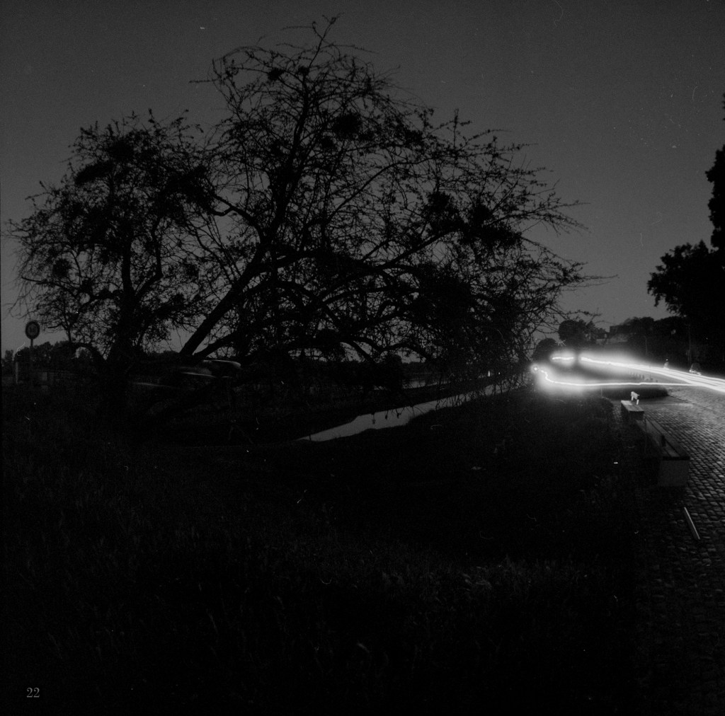 Une image en noir et blanc montrant un paysage nocturne avec un arbre en silhouette à gauche et des lumières de voitures sur une route à droite.