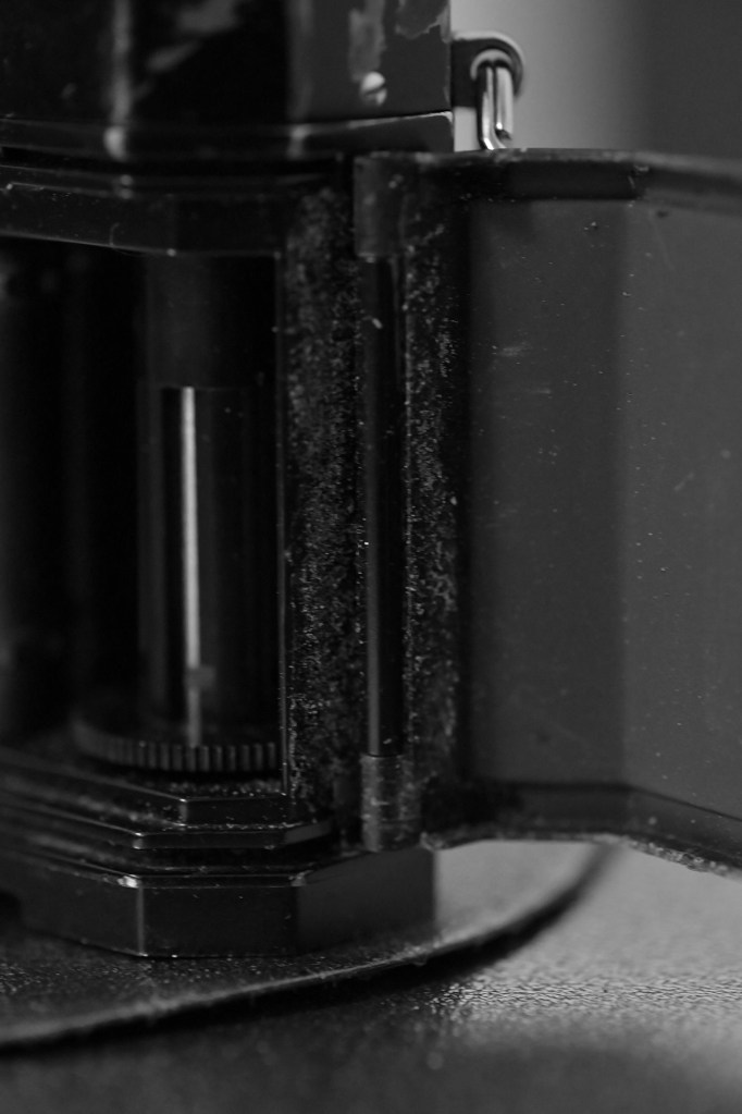 Film camera light seal foam.