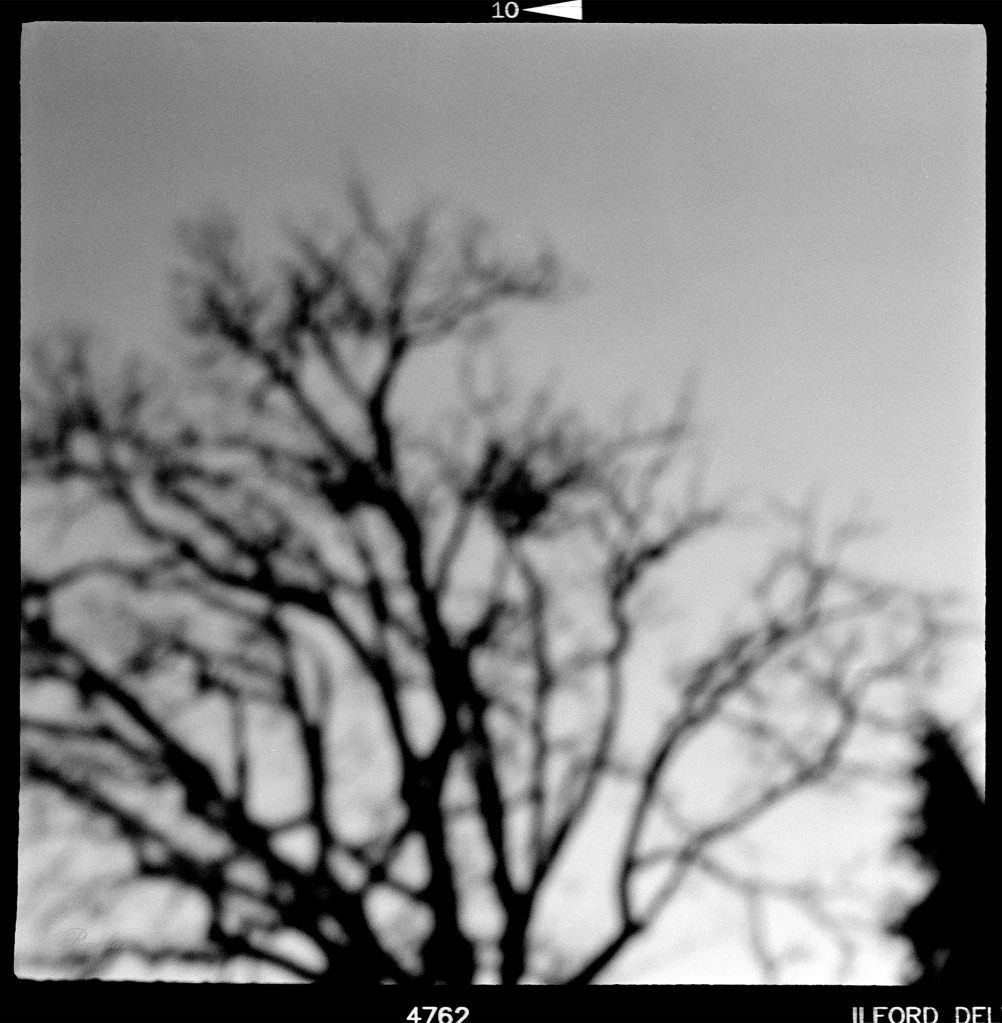Photograph taken with a Kiev 6C