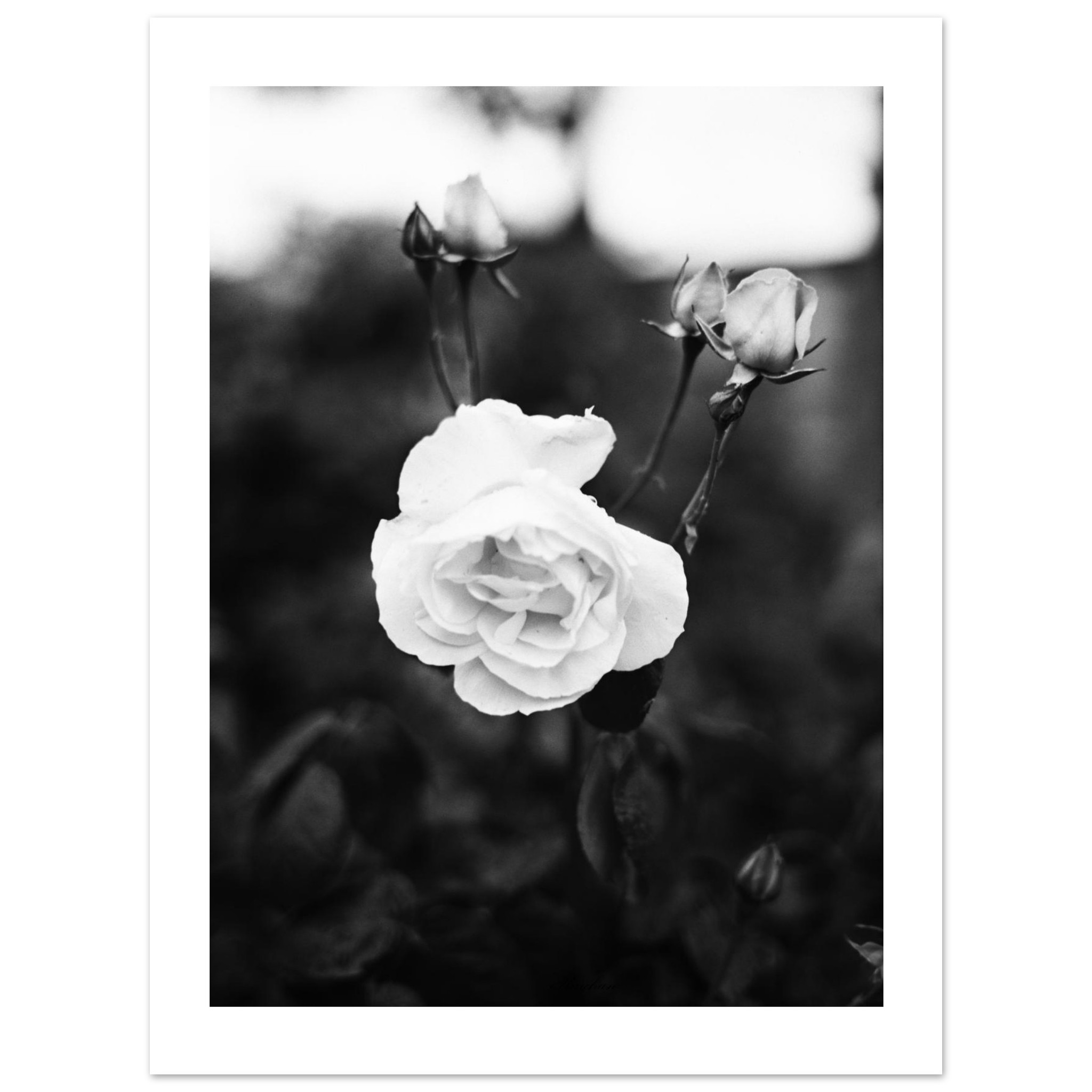 Why limited edition art prints are wrong