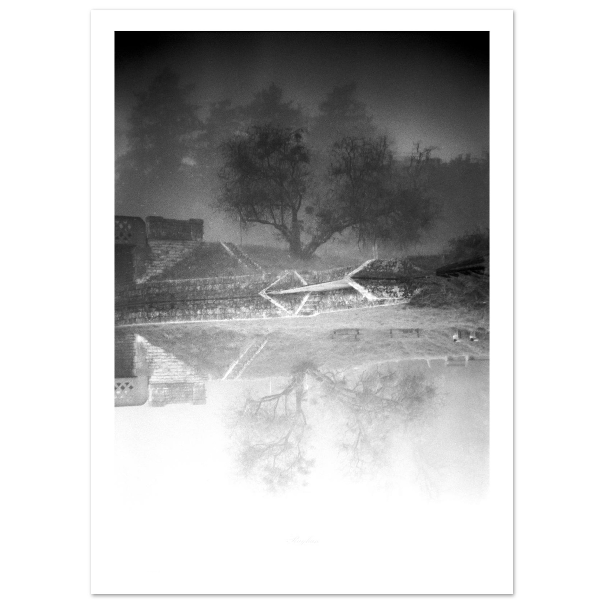 The Making of a Print: The Two Trees Reflected in the Loire Canal
