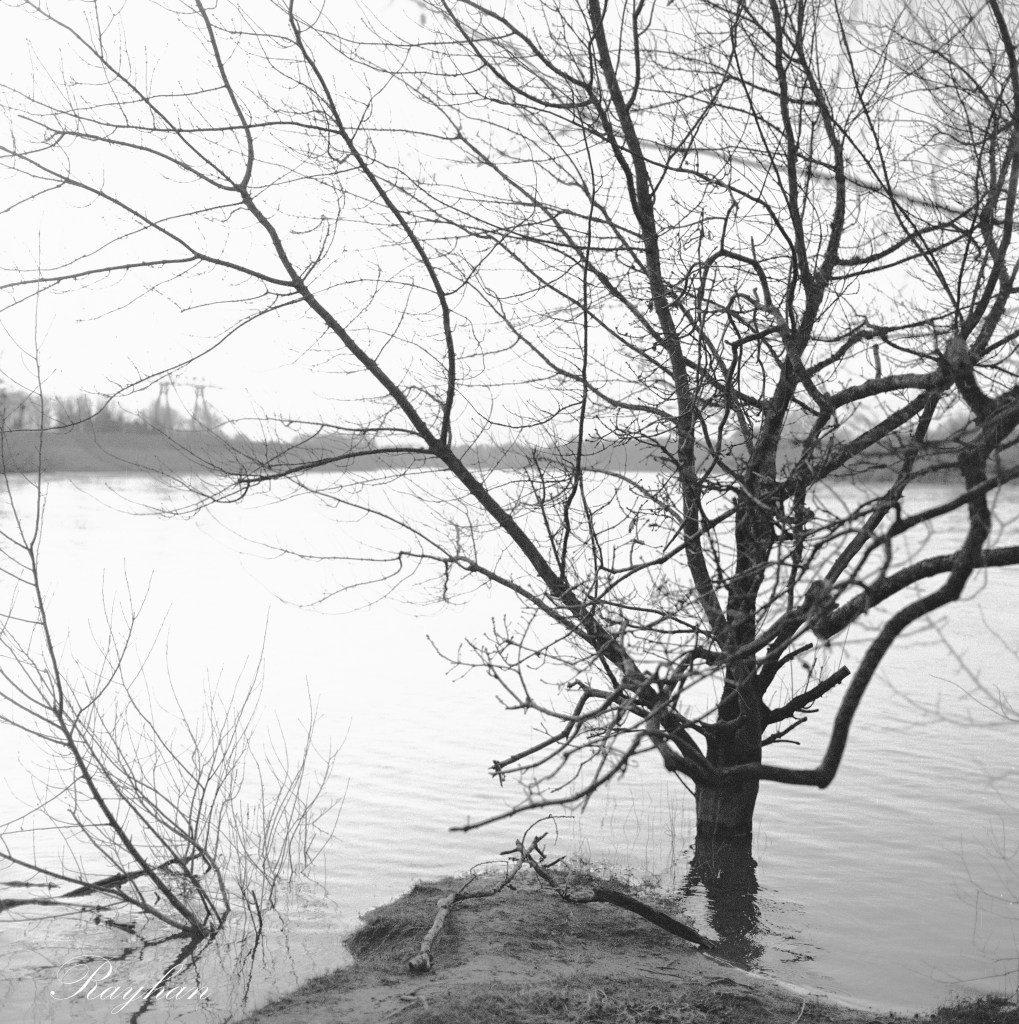 Photo argentique noir et blanc.