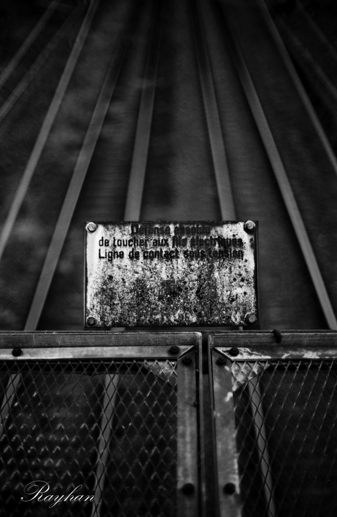 A photo taken with a Nikkor 55mm f1.2 at f1.2 (aperture wide open).