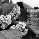 Rayhan RAHIM KHAN, Auteur Photographe à Orléans.