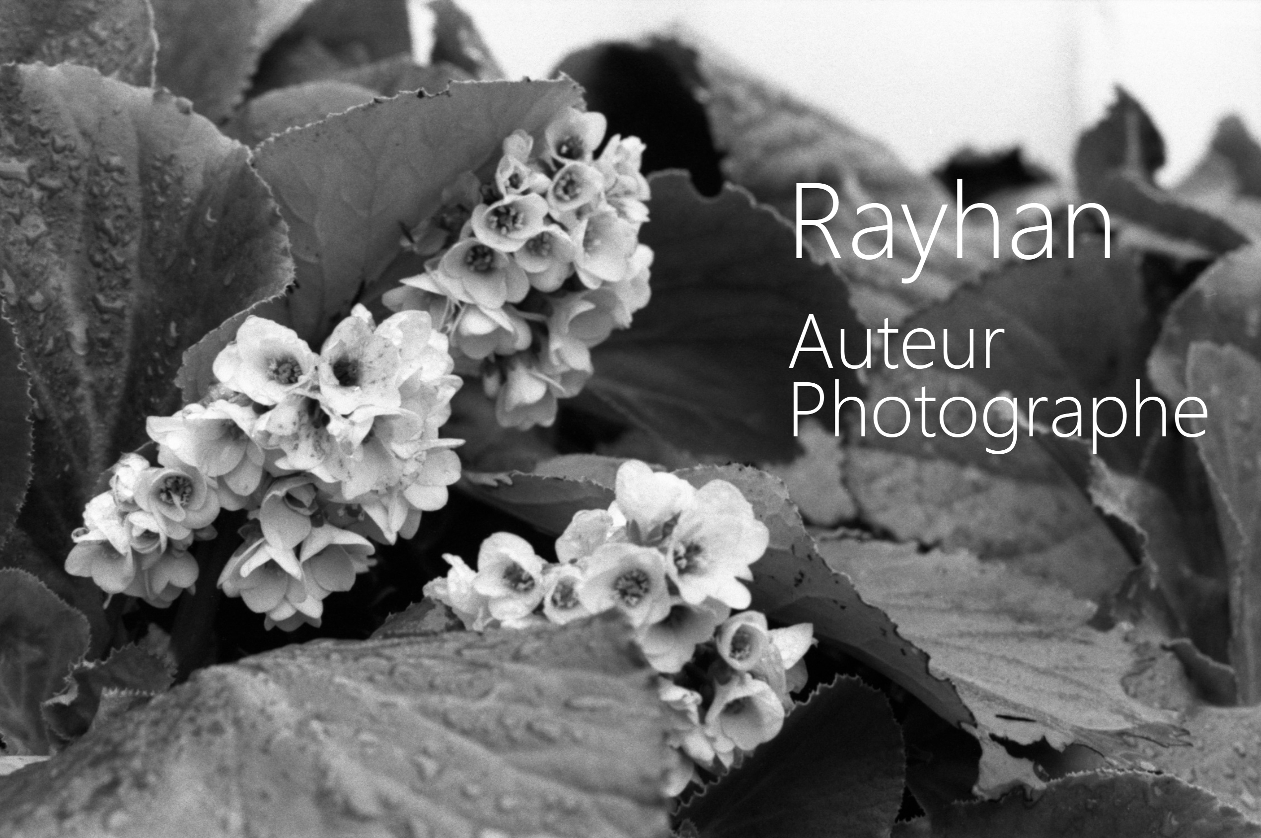 Rayhan RAHIM KHAN, Auteur Photographe à Orléans.