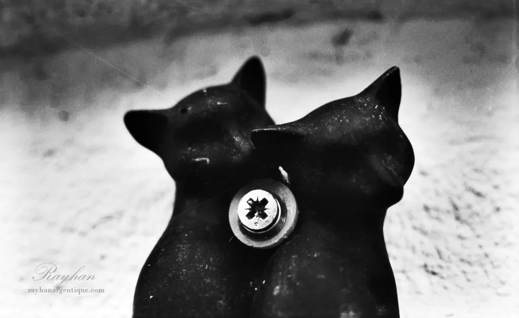 Two cats - Photo taken with a Nikkor 28mm f/2.8 AI-S.