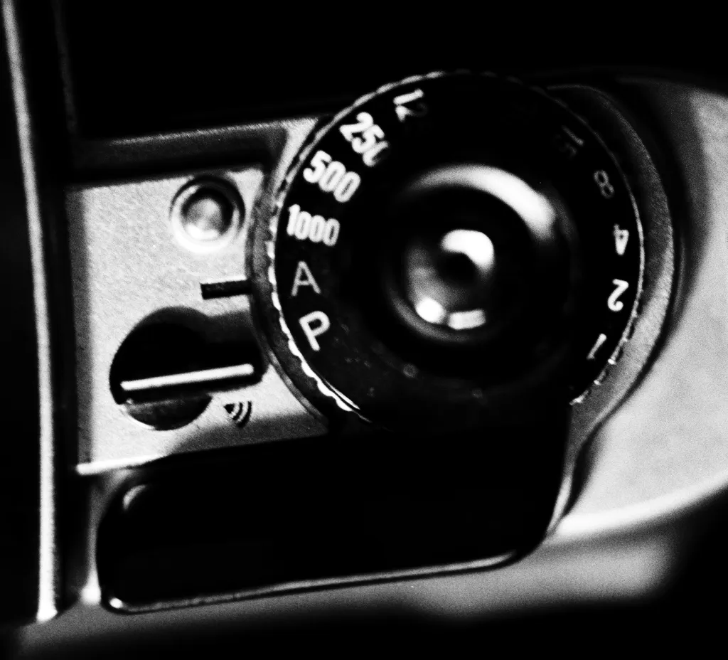 Sélecteur de vitesse Nikkon FG
