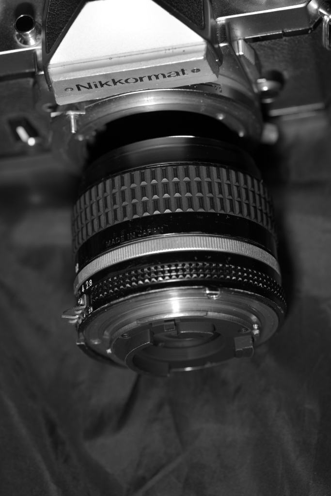 Reversed Nikkor 28mm AI-S for macro photography.