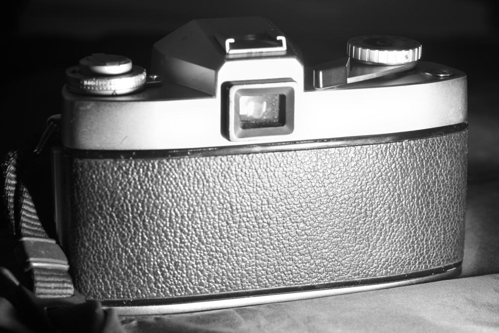 Leicaflex back