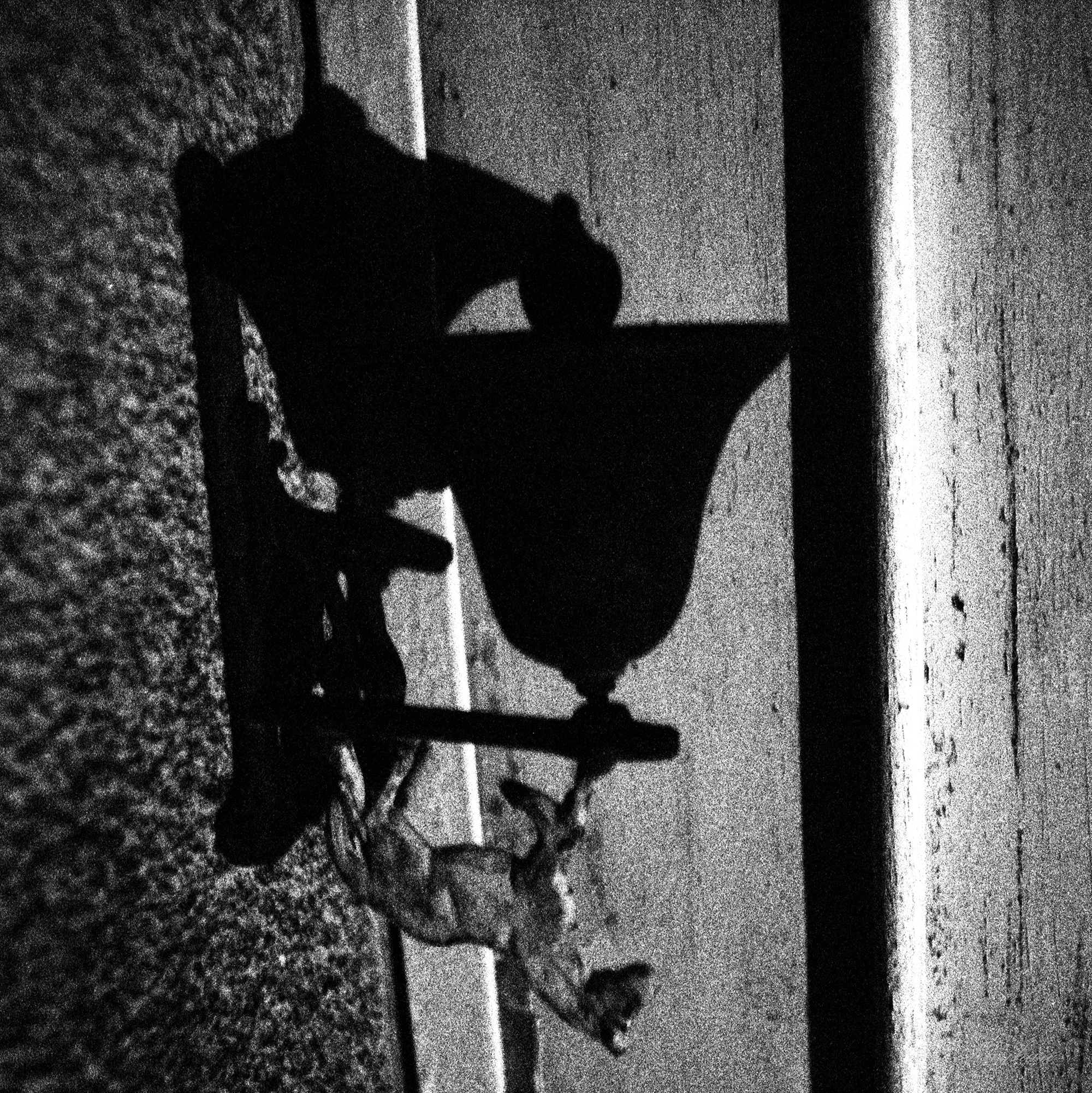 A poetic image of the shadow of a small horse statue taken at night. Photograph by Rayhan Rahim Khan
