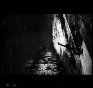 Study 2: The stairs to the River