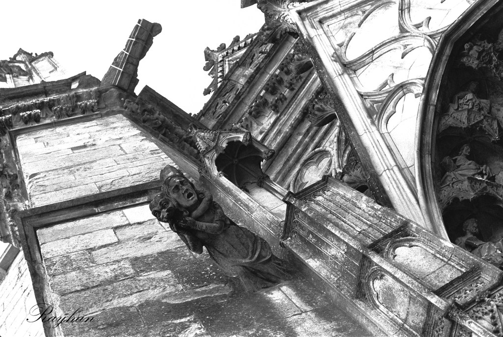 Gargoyle. Sainte-Croix Cathedral of Orléans. Orléans. April 2025. © Rayhan RAHIM KHAN