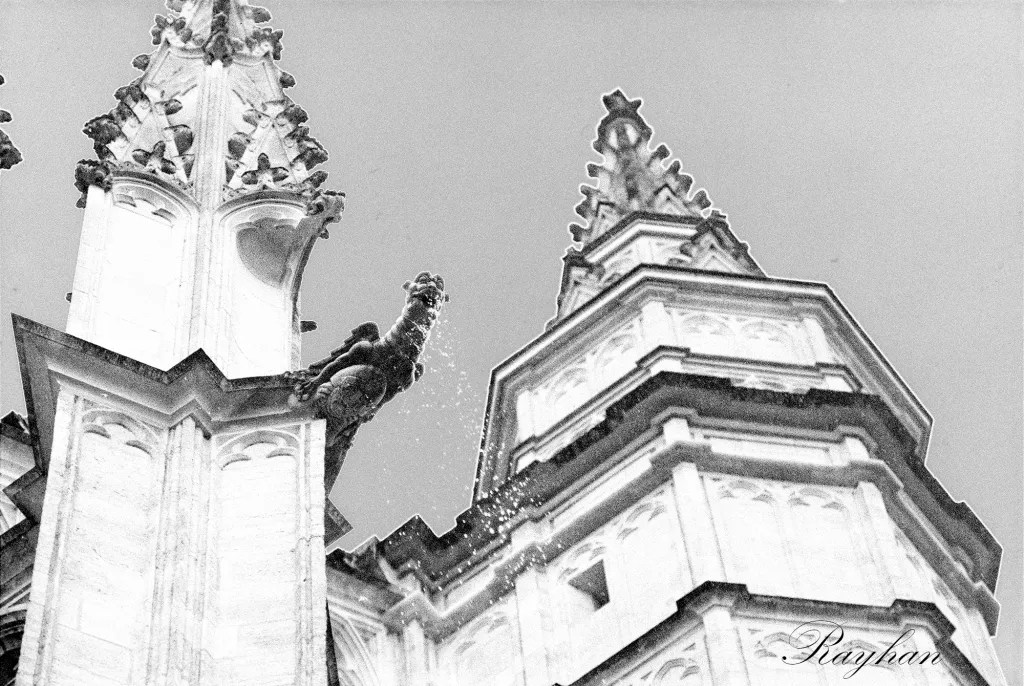 Gargouille sous la pluie. Cathédrale Sainte-Croix d'orléans