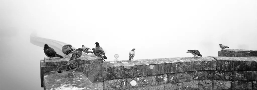 A buisiness without marketing