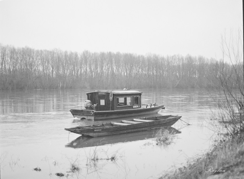 Photo taken with Foma 100 Classic developed in FX39