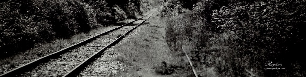 Une photographie de deux rails, dont un recouvert par de la verdure.