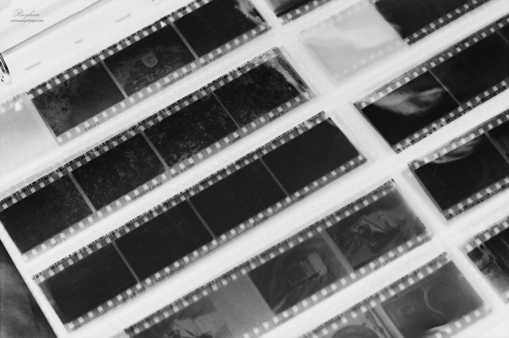 Des négatifs argentiques 35mm dans un classeur.