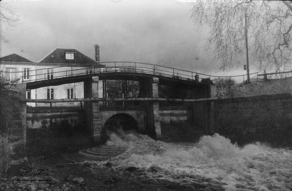 Photograph taken with Kodak Verichrome VP620 125 ISO film expired for 50 years.