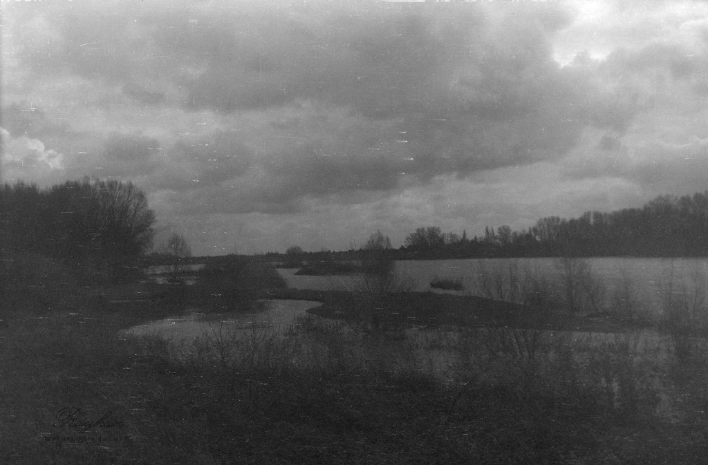 Photograph taken with Kodak Verichrome VP620 125 ISO film expired for 50 years.