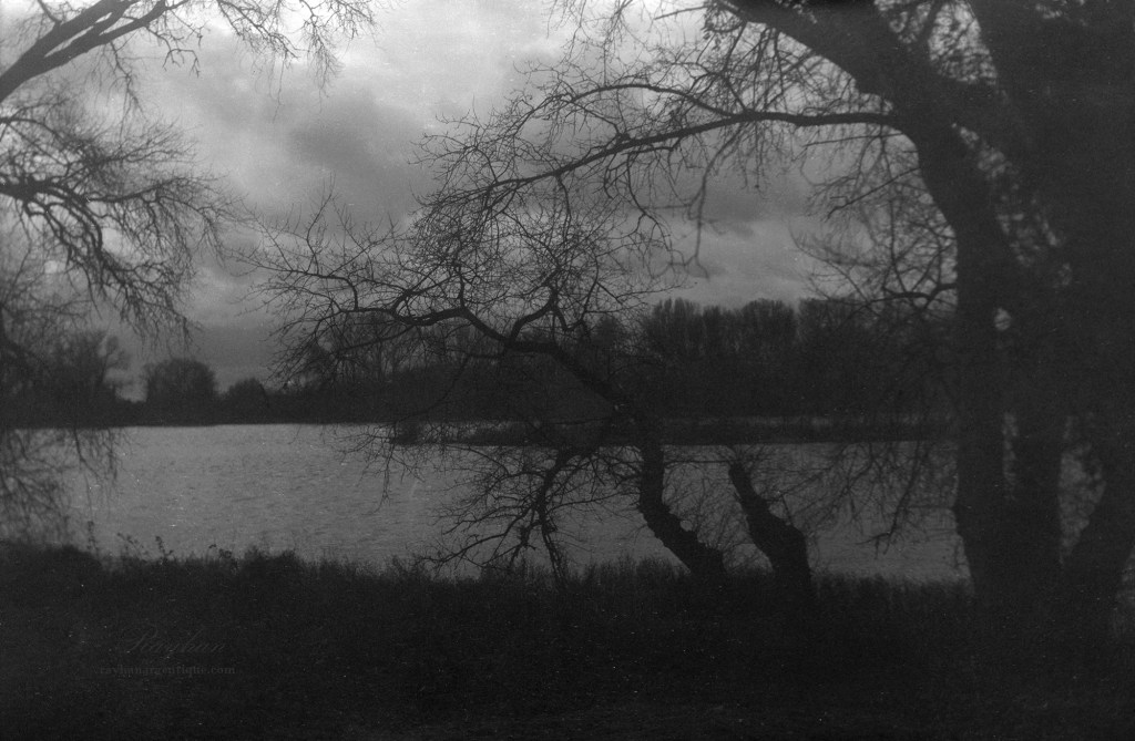 Photograph taken with Kodak Verichrome VP620 125 ISO film expired for 50 years.