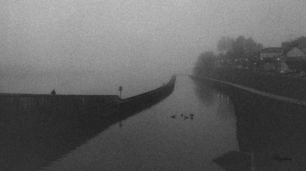 A grainy black and white picture of the towing path at Orléans, France.