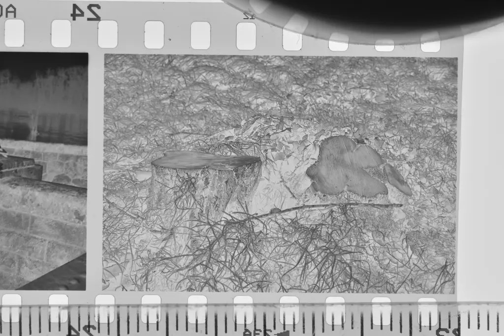 Développement #10 – Agfa APX 100 + Ilfosol 3 dilué à 1+9 (20°C) – Compte Gratuit