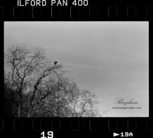 Contact-Sheet – 5| Loiret to Loire (1/2)