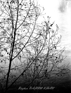Contact-Sheet – 1| The Loire and the mist (2/3)