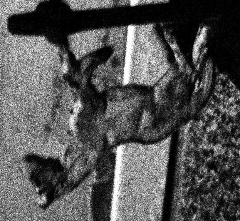 Zoom on a medium format black and whit night photograph Ilford D3200