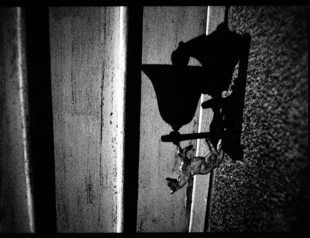 A poetic image of the shadow of a small horse statue taken at night. Photograph by Rayhan Rahim Khan