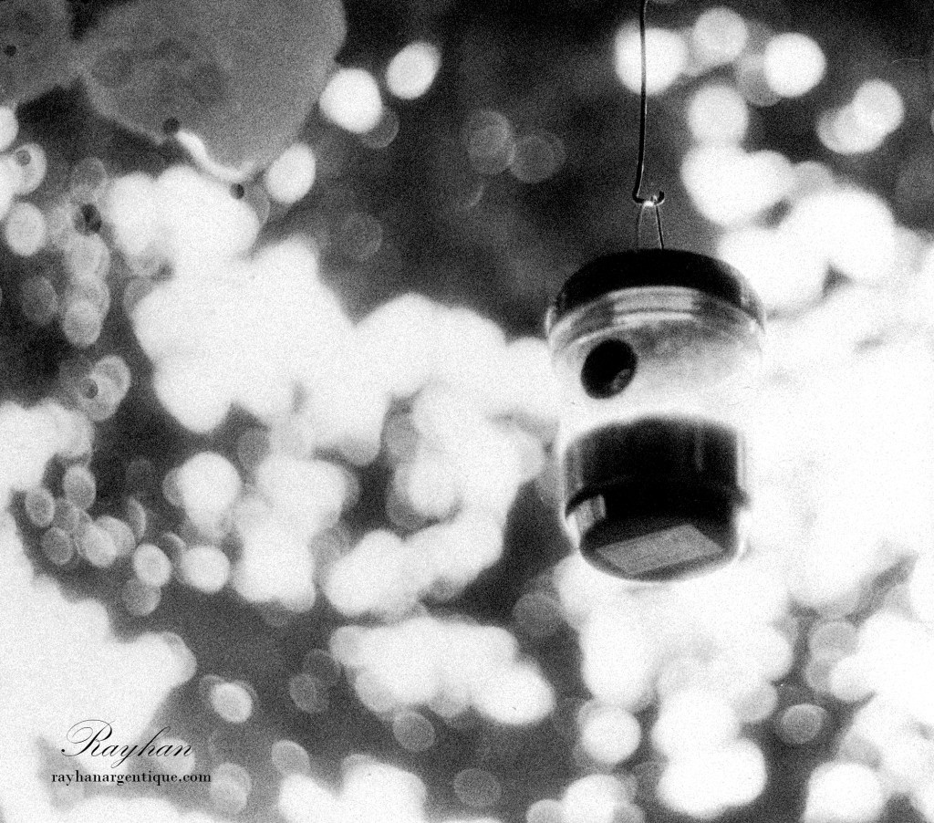 Photograph taken with orthochromatic film.