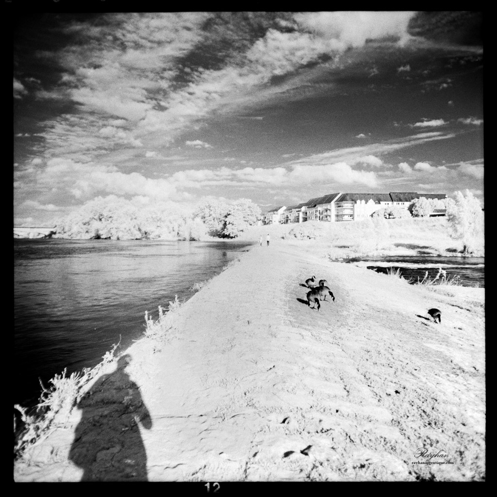 Infrared photograph of the Saint-Charles levee in Orléans.