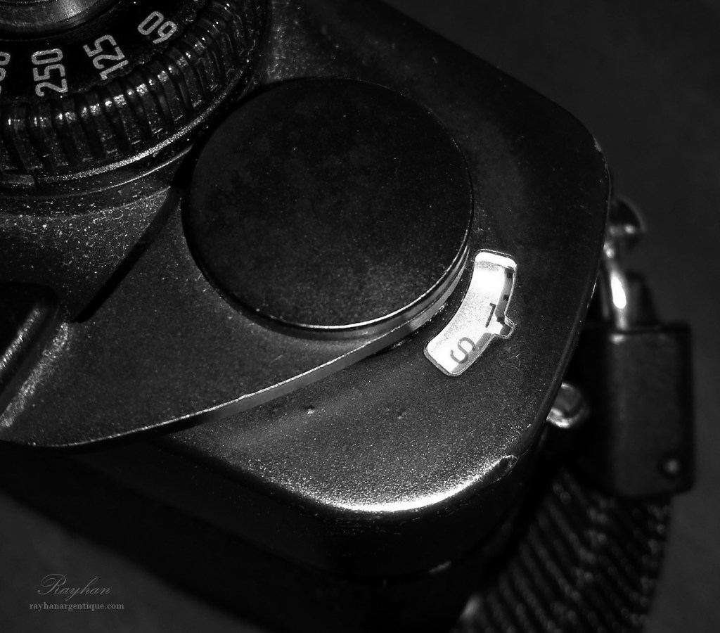Frame counter of a Leica R4.