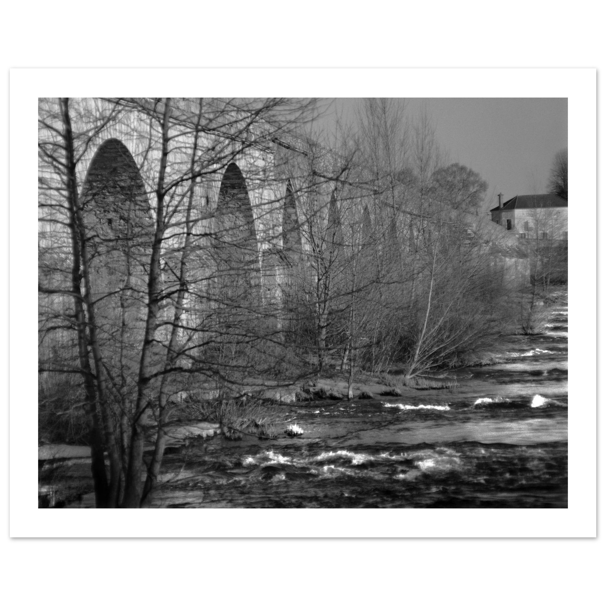 Fine art print of a bridge and the eddies of the river that passes below it and the trees that hang from it
