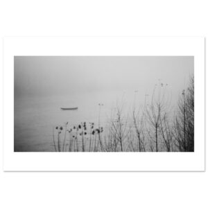fd92476a-d5a3-4dfa-a99e-9c575c327537