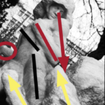 Analysis diagram of a photo of a statue. The arrows show the confrontation between man and wolf.