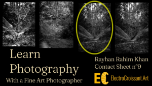 Contact-Sheet – 9| The Fallen Tree In The Forest