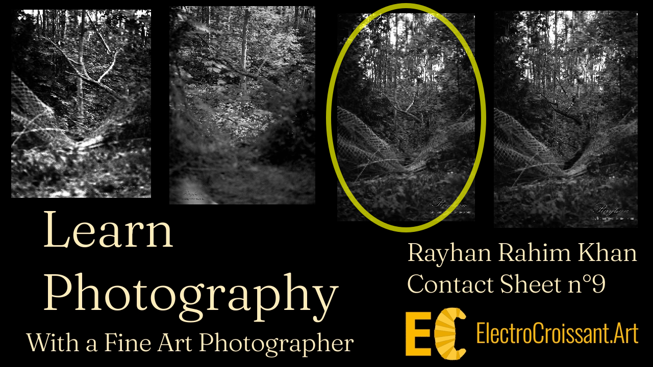 Learn photography with a fine art photographer on ElectroCroissant.art